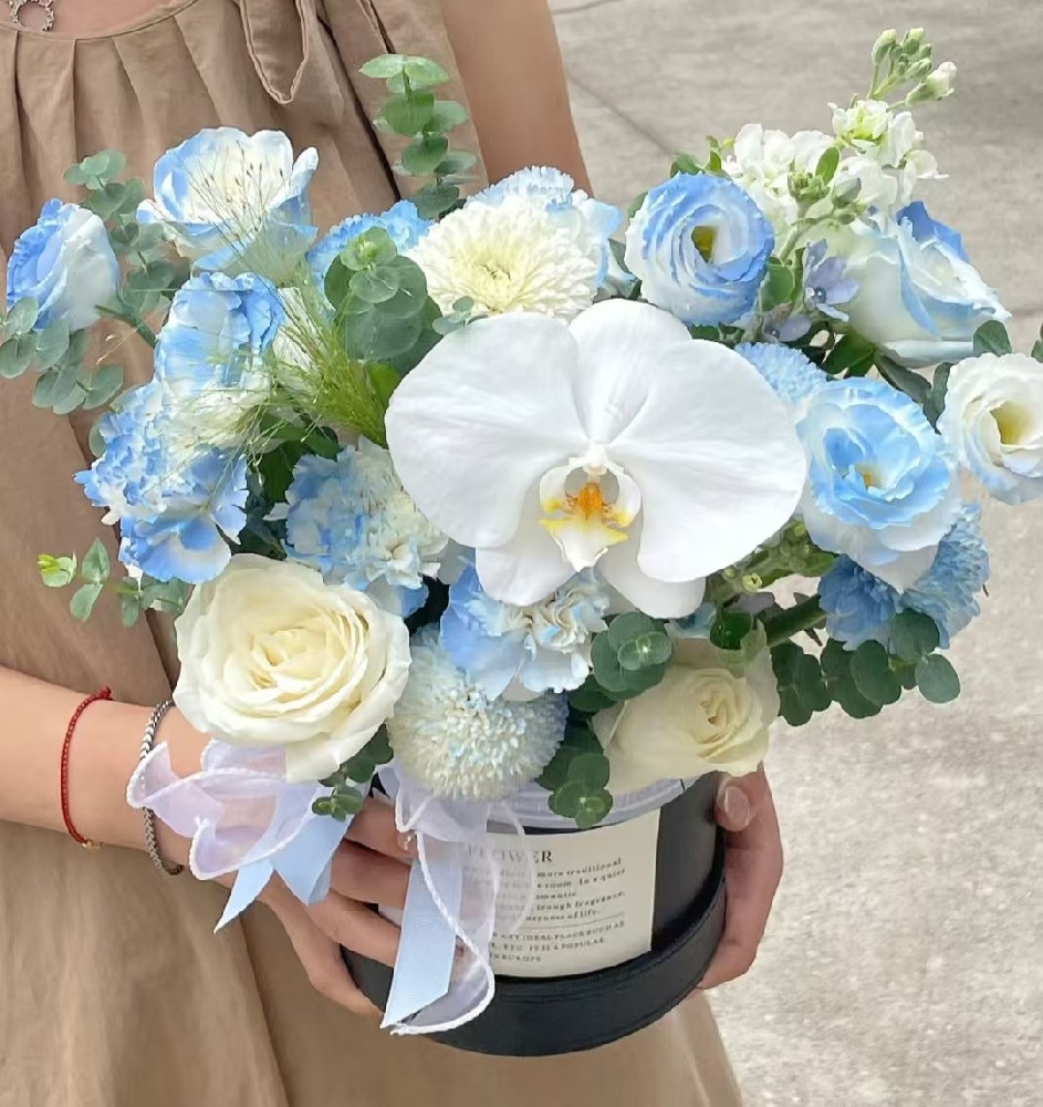 碎冰藍(lán)蝴蝶蘭抱抱桶